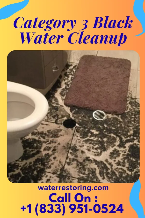 Category 3 Black Water Cleanup in Elkton, SD