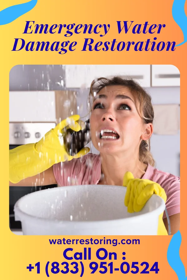 Emergency Water Damage Restoration in Elkton, SD