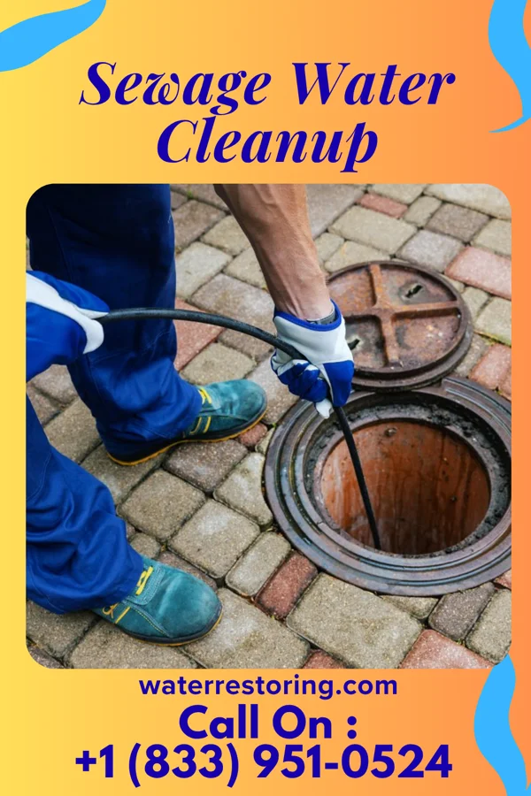 Sewage Water Cleanup in Elkton, SD